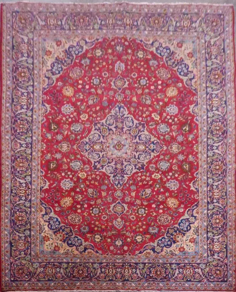 P1110494T Medium 53c1c4b0 e6c8 448b 95c3 1371d47026b1